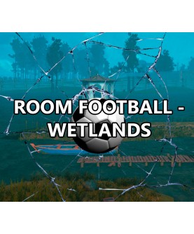 ROOM FOOTBALL: Wetlands Steam Key GLOBAL